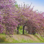 Boni Csaladi Wellness מלון