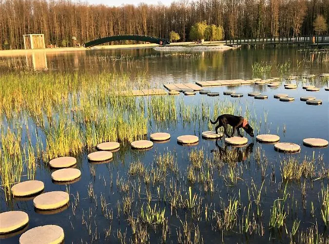 Szálloda Boni Családi Wellness