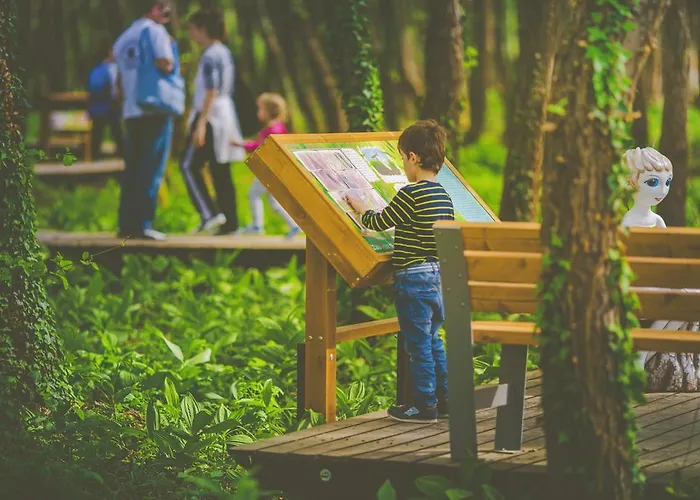 Boni Családi Wellness Szálloda